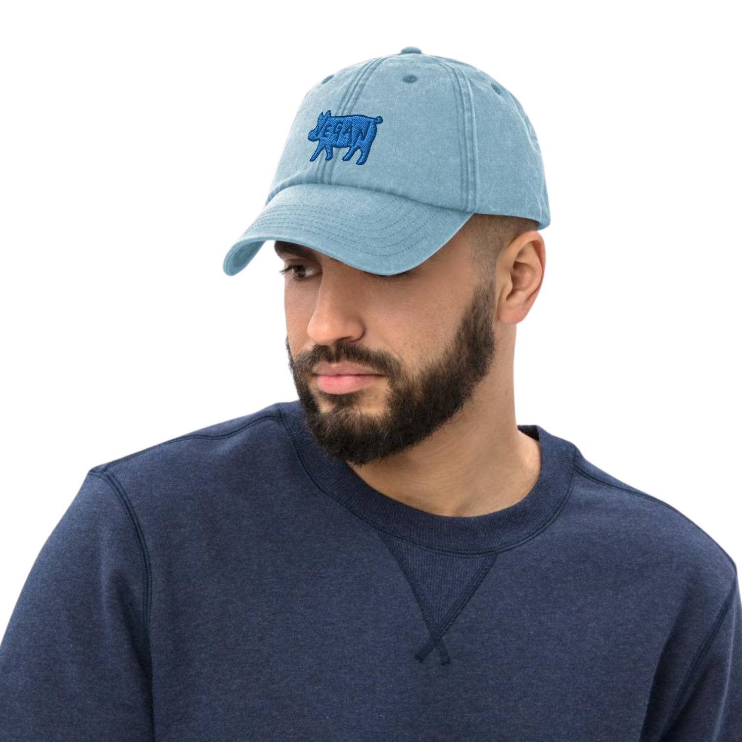 Vegan Dad Hat