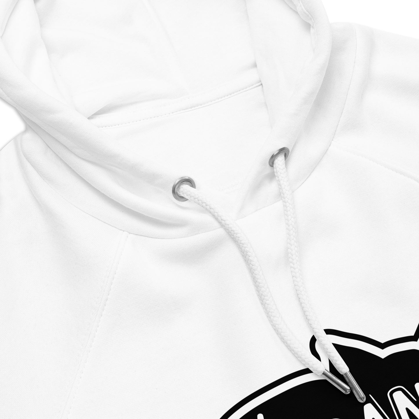 VEGAN For Them Unisex Eco Raglan Hoodie