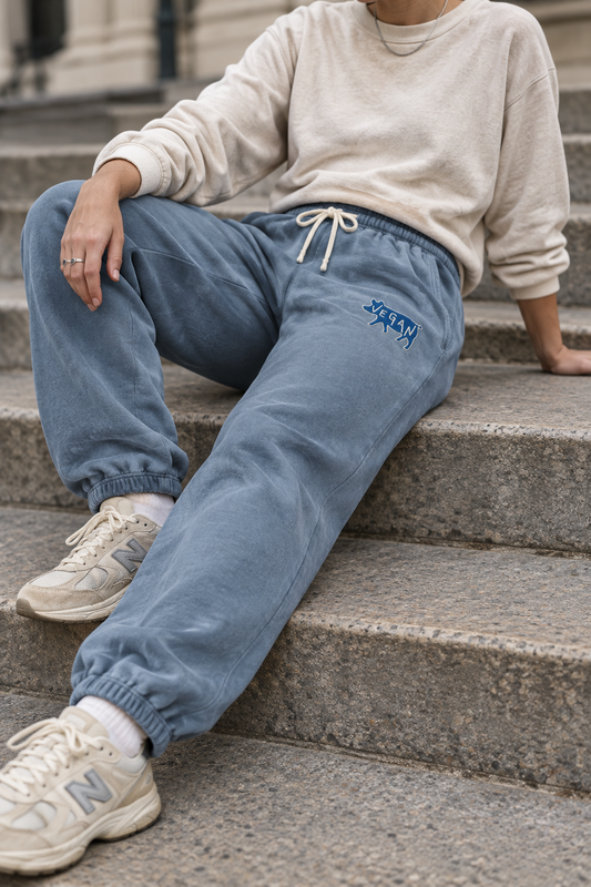 Model seated on city steps wearing Blue Jean vegan embroidered cotton sweatpants