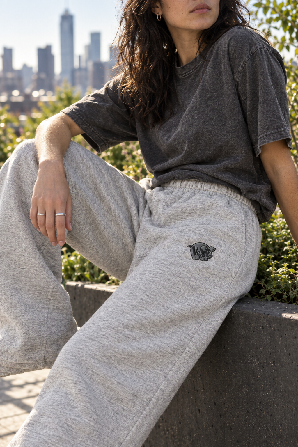 New seated rooftop Vintage Heather Grey model proof